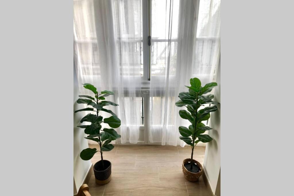 Gatu Premium Villa Libertad, Preferente Mayores De 25 Anos Y Familias Cadiz Ngoại thất bức ảnh