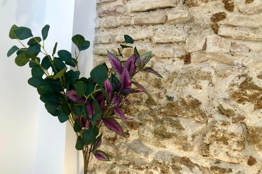 Gatu Premium Villa Libertad, Preferente Mayores De 25 Anos Y Familias Cadiz Ngoại thất bức ảnh