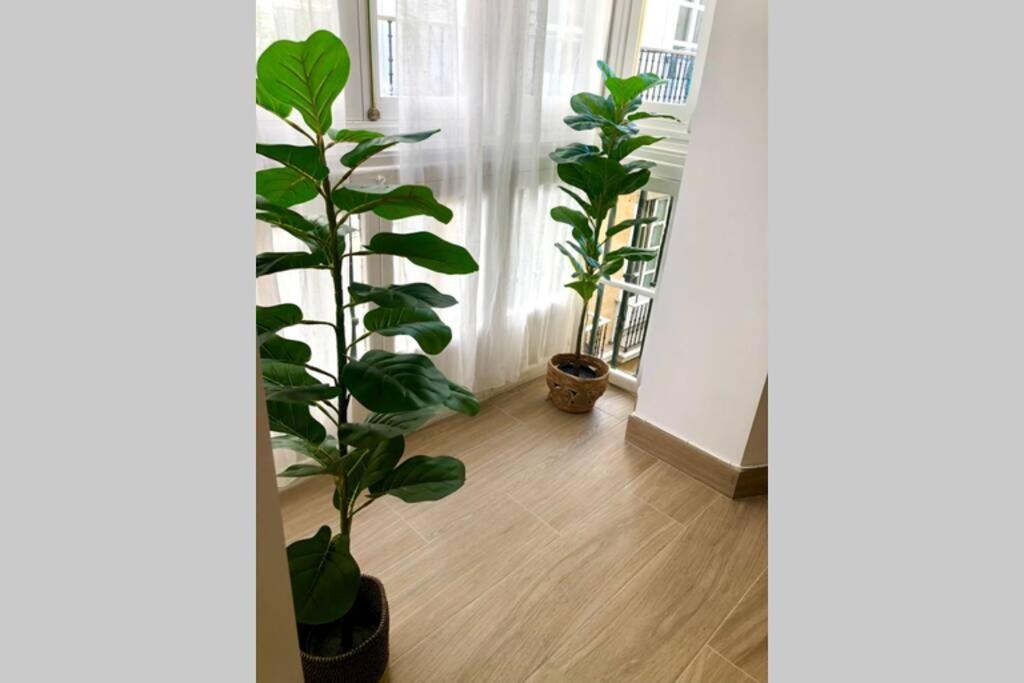 Gatu Premium Villa Libertad, Preferente Mayores De 25 Anos Y Familias Cadiz Ngoại thất bức ảnh